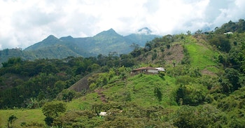 Más de un millón de predios se verían afectados con la actualización del Impuesto Predial Unificado - crédito Universidad Javeriana