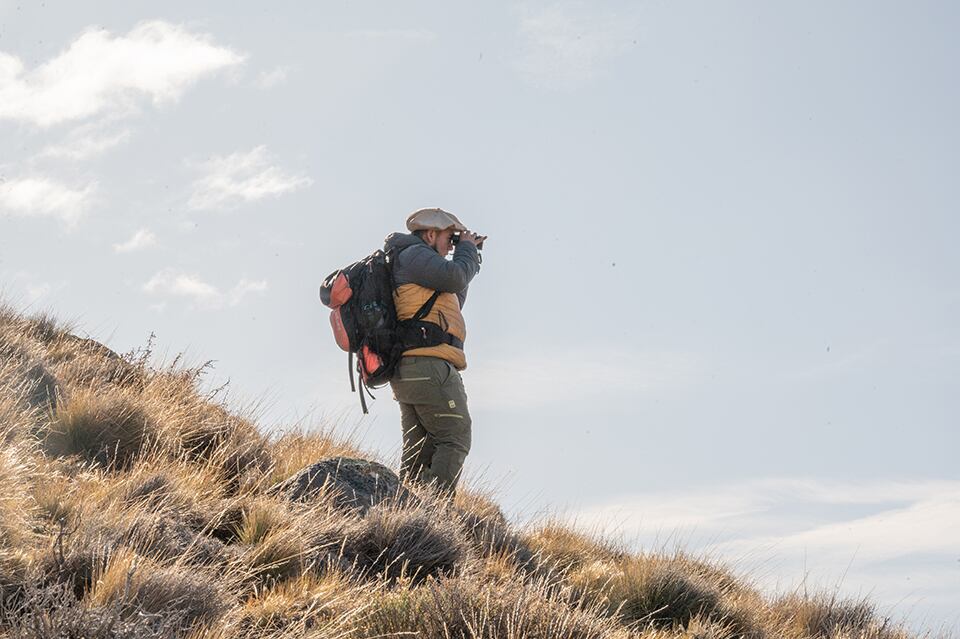 Facundo tiene 30 años y desde hace siete se dedica al avisatje de fauna. Hoy ofrece una experiencia única en el país: avistamiento de pumas, choiques, cóndores en su hábitat natural (Foto/Horacio Barbieri Rewilding Argentina)