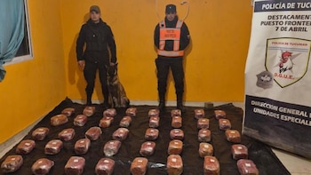 Dos policías y un perro detector posan frente a una pared naranja, con múltiples paquetes rectangulares de droga envueltos en plástico sobre un toldo negro