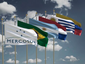 La disminución en los precios