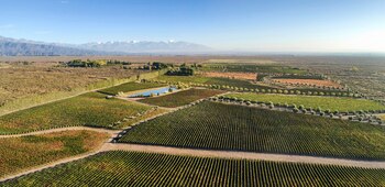 Los 50 mejores vinos de 2021- Terrazas Grand Malbec - Terrazas de los Andes