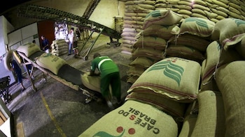 Las exportaciones brasileñas de café cayeron más del 20% en el primer trimestre del año