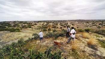 Santos Maza, Luis Inga y