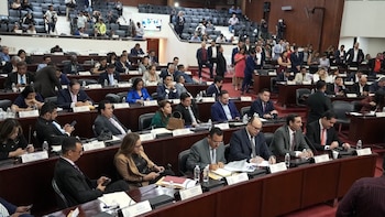El Congreso Nacional decidió aplazar la discusión del proyecto. (FOTO: X)