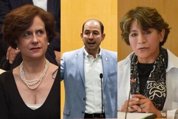 Denise Dresser calificó a Delfina