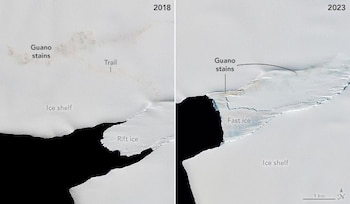 A Changing World for Emperor Penguins