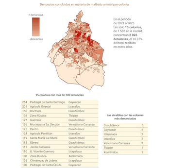 Mapa de la Ciudad de México con gradiente de color para densidad de denuncias por maltrato animal, tabla de 15 colonias con más de 100 denuncias y tabla de alcaldías