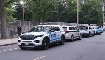 Coches de la Policía de Nueva York y del Departamento de Parques estacionados en una calle con un agente, una valla, juegos infantiles y árboles