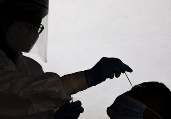 Científicos estudian a nivel genético,