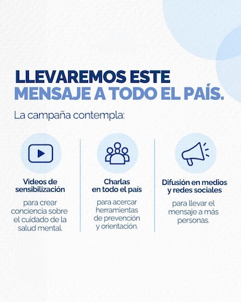 (Publicación oficial del Ministerio de Salud)