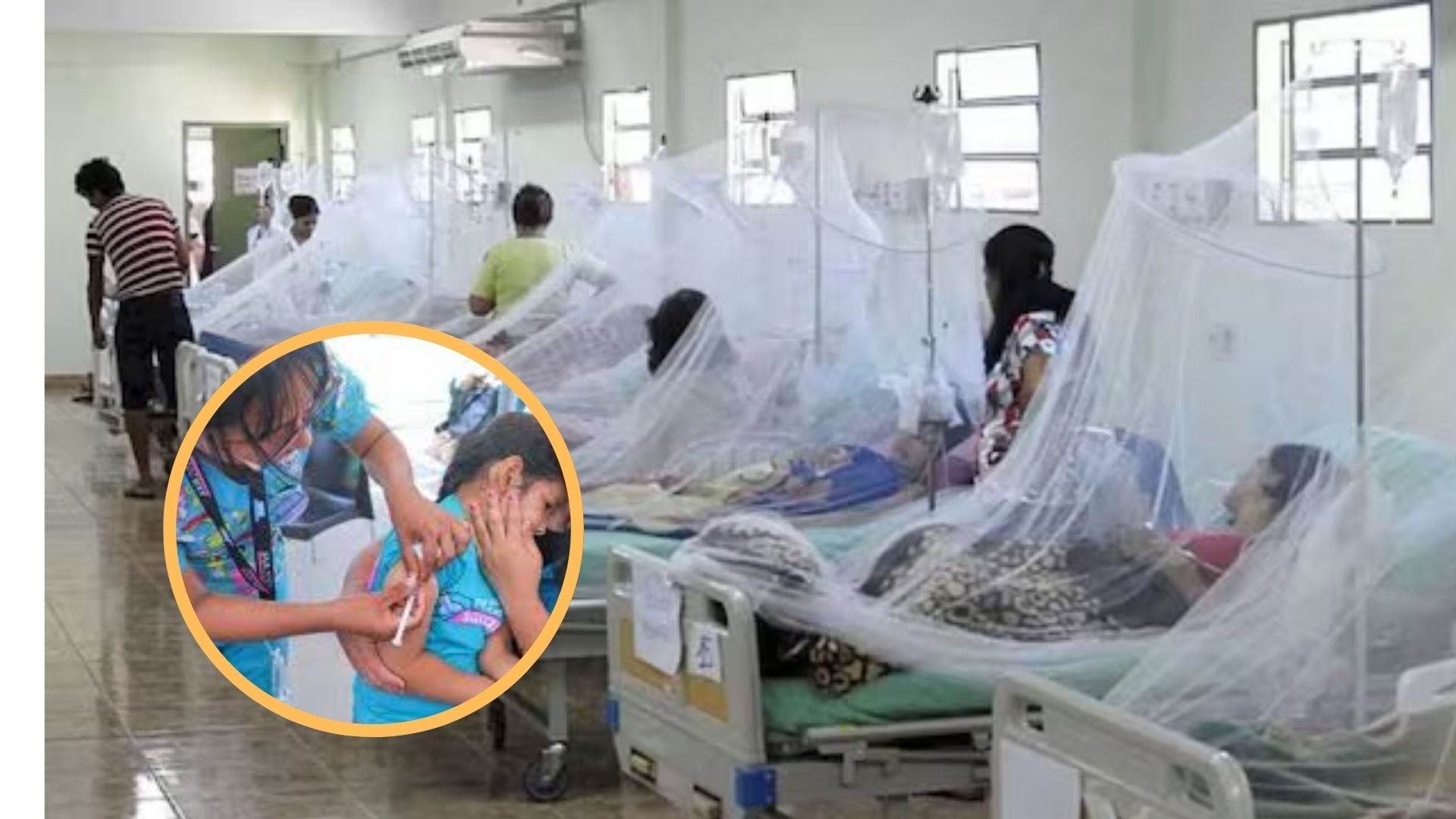 La fiebre alta, el dolor de cabeza, las molestias musculares y el sarpullido figuran entre los síntomas frecuentes de la infección transmitida por el Aedes aegypti. Archivo