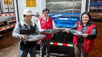 MIMP gestiona donación de más de tres toneladas de pescado para alimentación de menores del Inabif