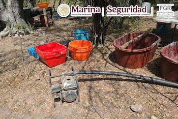 Localizan y deshabilitan un narcolaboratorio en Culiacán: fueron confiscados 100 kilos de metanfetamina. Semar