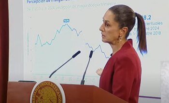 Percepción de la inseguridad, Claudia