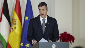 El Ayuntamiento de Palma ultima