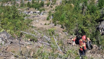 Las recientes tareas de las