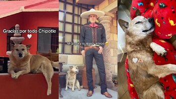 (Captura de Pantalla/TikTok Lousiang)