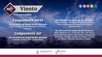 Imagen 3QRRZ53QS5EQLIIXFA2T3UELC4