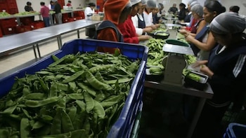 La petición de AGEXPORT ante el USTR incluyó comentarios escritos y una audiencia pública en Washington con datos técnicos sobre exportaciones de Guatemala.