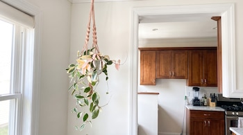 Planta en un colgador de macramé suspendida del techo junto a una ventana, con una cocina de gabinetes de madera al fondo.