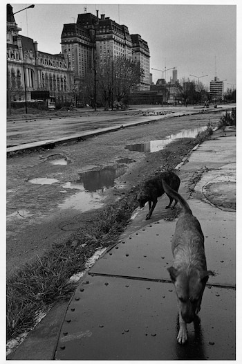 Adriana Lestido - Metrópolis