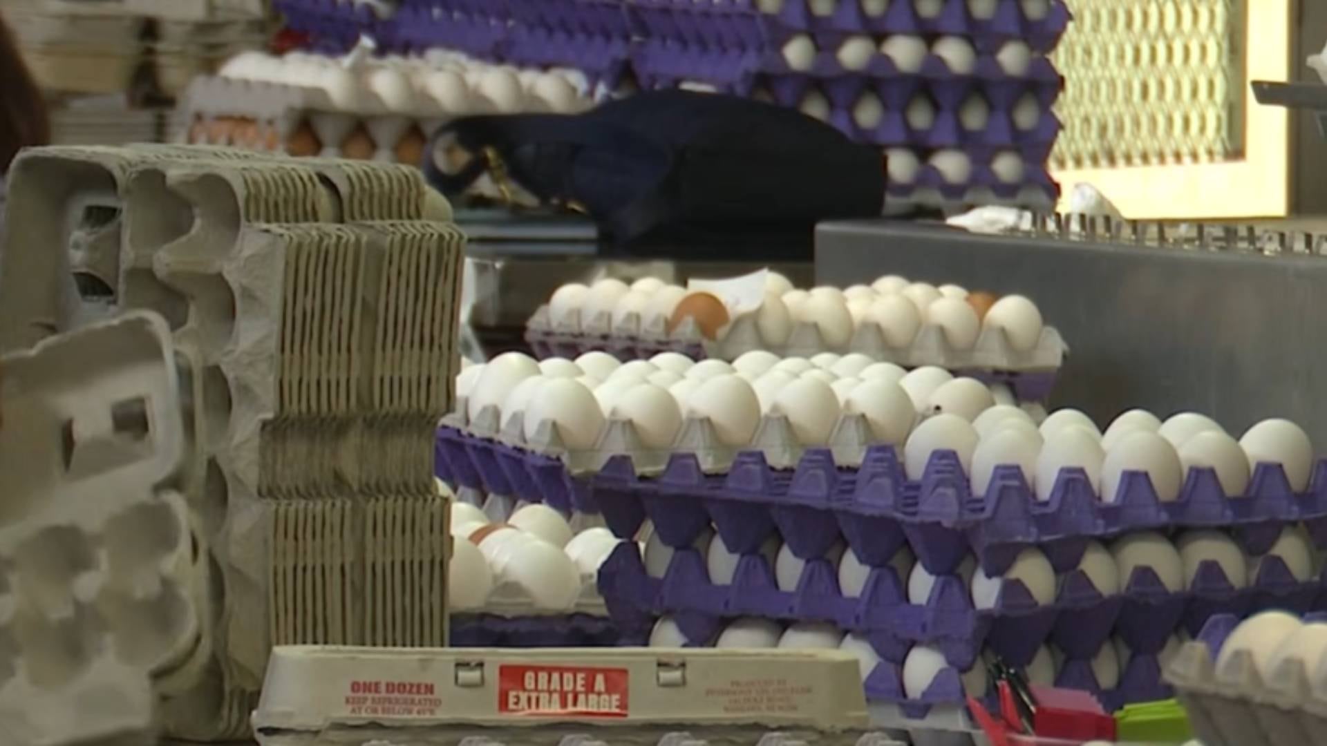Cal-Maine Foods asumió la mayor parte del acuerdo con USD 1,5 millones en pagos y una donación de 30 millones de huevos a bancos de alimentos (KHON2 News)