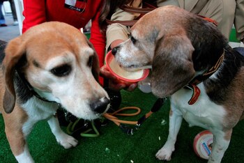 EFE/Herbert Pfarrhofer/Archivo