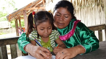 Si bien el Estado promueve