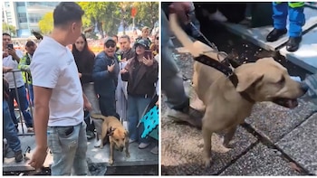 Perro altera a asistentes y genera discusión en el Show Run de Checo Pérez