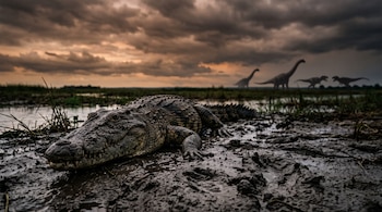 Un cocodrilo sobre el barro húmedo en primer plano y cuatro siluetas de dinosaurios a lo lejos bajo un cielo con nubes oscuras al atardecer.