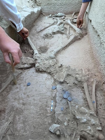 Manos y brazos de dos personas trabajan en fosa de excavación con esqueleto humano, varias monedas, brocha y regla de medición