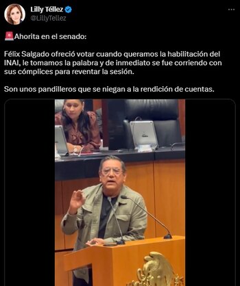 Lilly Téllez PAN INAI