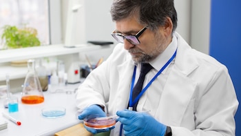 Científicos de Stanford modificaron genéticamente