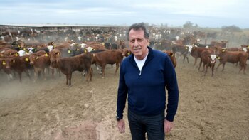 Campo y ganadería: las otras
