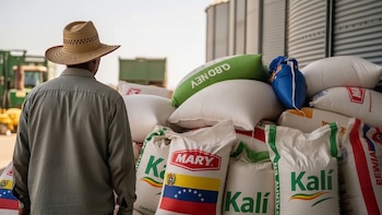 Solo pocas empresas con acceso privilegiado a licencias de importación controlan el negocio del arroz en Venezuela. (Imagen Ilustrativa Infobae)