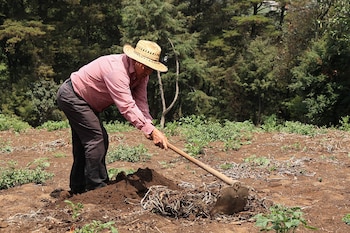 Estrategias sugeridas por autoridades buscan