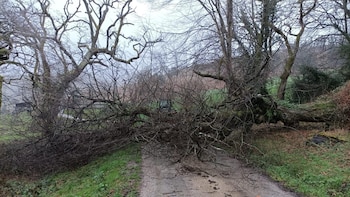 El 112 recibe 80 llamadas