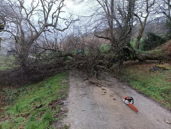 Imagen 3RIJNLDLDJDWPCTRWUAEXFN3OY