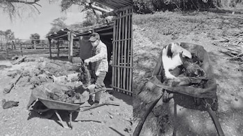 Alarma en Lambayeque por muerte