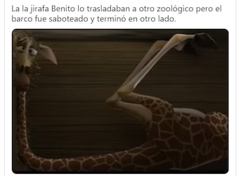 La creatividad de los internautas