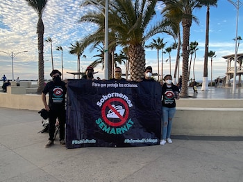 En diciembre del año pasado,