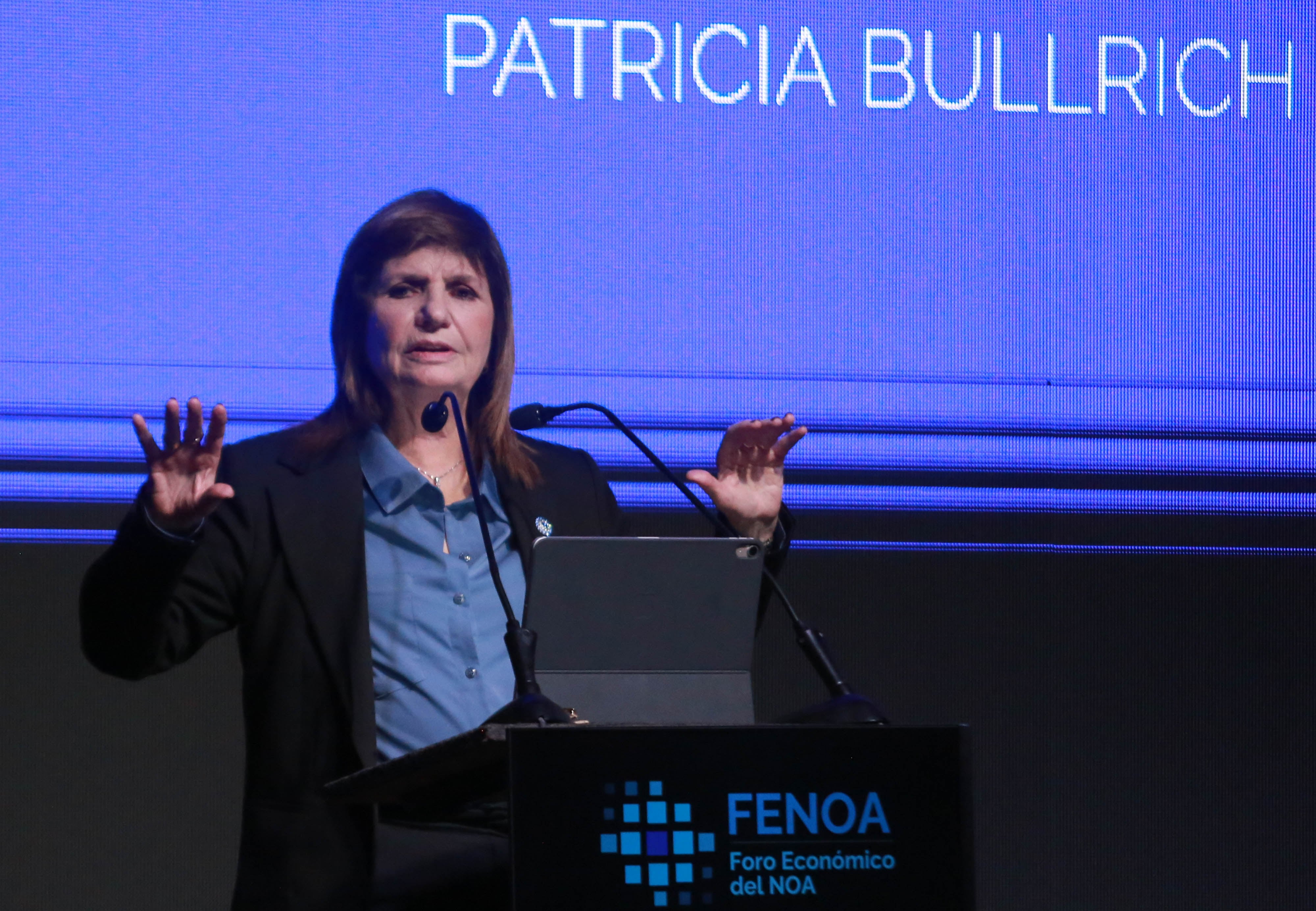 La jefa libertaria en la Cámara alta, Patricia Bullrich (Nicolás Nuñez)
