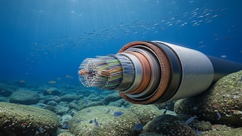 Auge mundial de la inversión en cables submarinos favorece a Panamá como hub digital, afirma la Autoridad Marítima