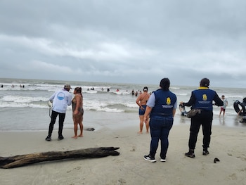 Dimar pronostica aumento de vientos