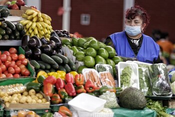 Las hortalizas tuvieron el mayor