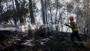 Se estabilizan en Cataluña los seis incendios forestales activos: “El episodio de simultaneidad está siendo muy complicado”