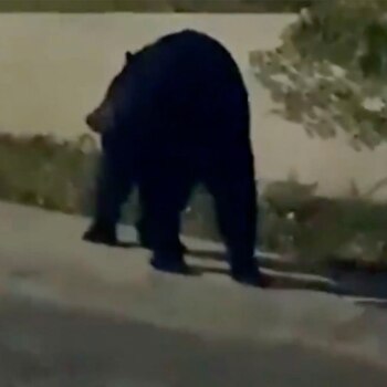 Habitantes de la colonia La