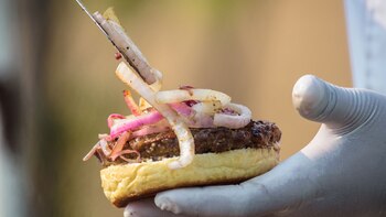 Hamburguesa de búfalo, entre las
