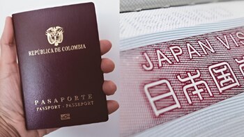 Todo lo que deben saber