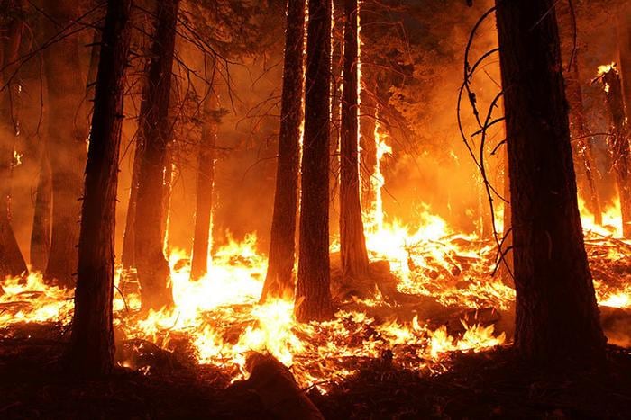 Un estudio global revela que los incendios forestales emiten un 21% más de compuestos contaminantes de lo estimado (Mike McMillan / USFS)